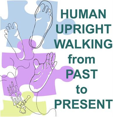 Editorial: Human upright walking from past to present